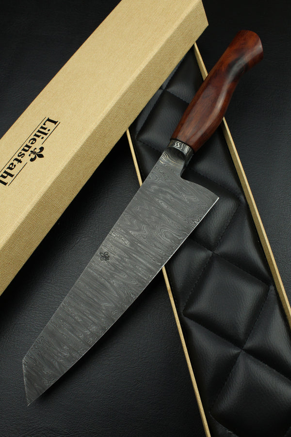 Gyuto 220 Snakewood