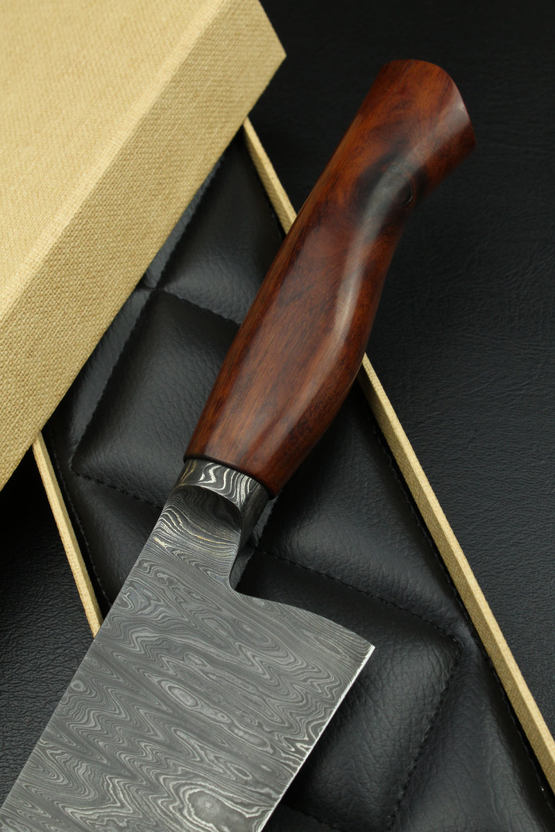 Gyuto 220 Snakewood